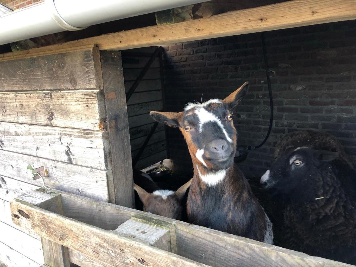 Hoeve De Binnenplaets Schimmert Экстерьер фото